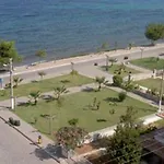 Cidihan Guzelcamlı